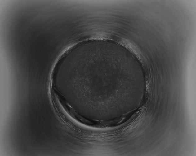 X0000097840724200803201517