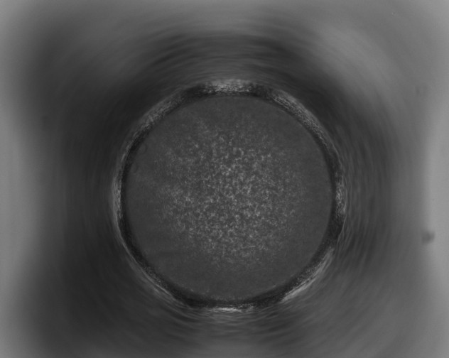 X0000097840725200803201517
