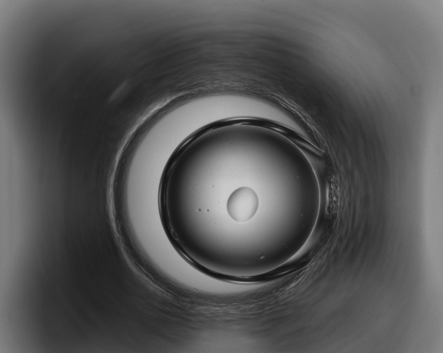 X0000097840726200803201517