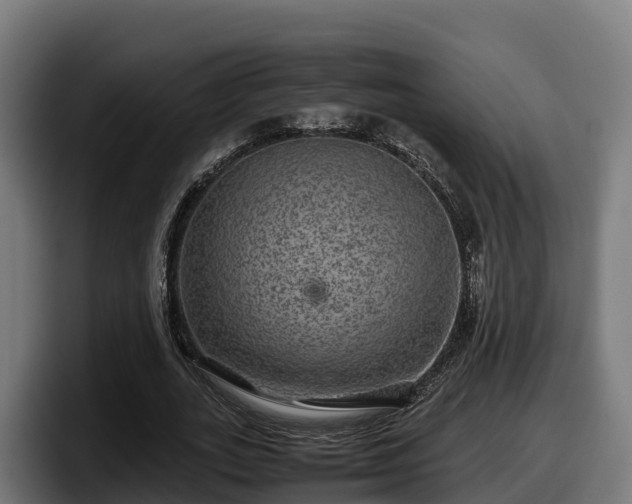 X0000097840727200803201517