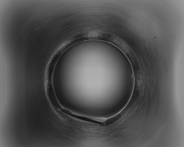X0000097840728200803201517