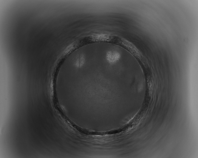 X0000097840729200803201517