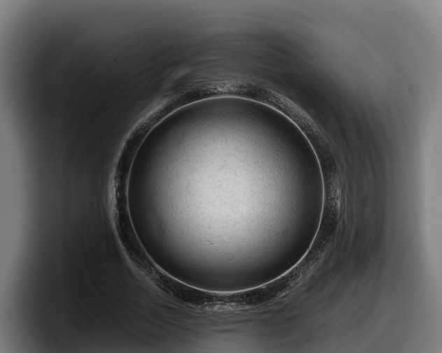 X0000097840730200803201517
