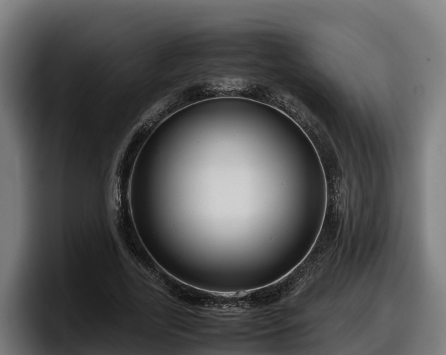 X0000097840731200803201517