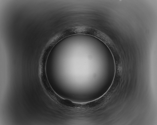 X0000097840732200803201517