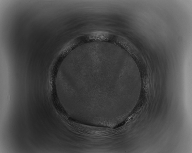 X0000097840735200803201517