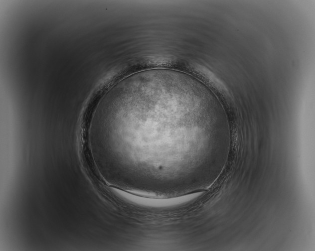 X0000097840736200803201517