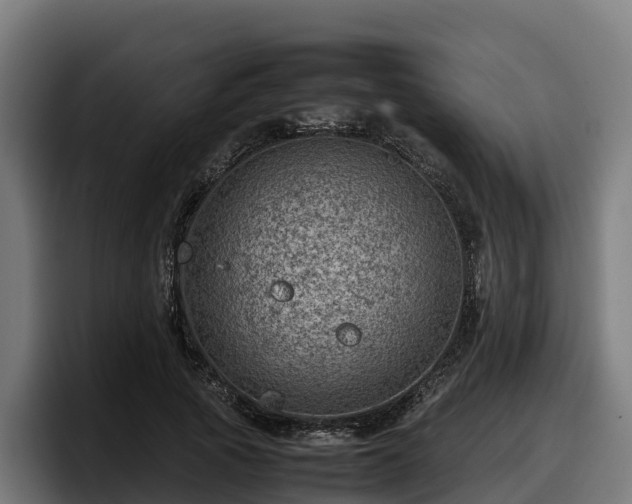 X0000097840737200803201517