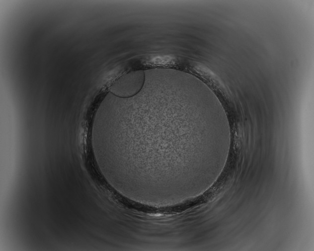 X0000097840739200803201517