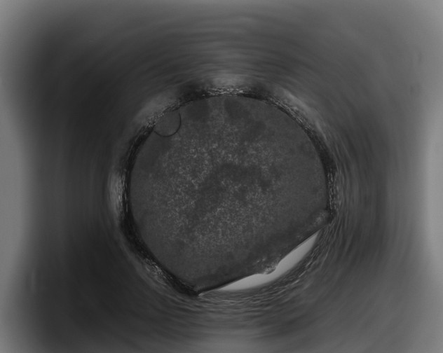 X0000097840742200803201517