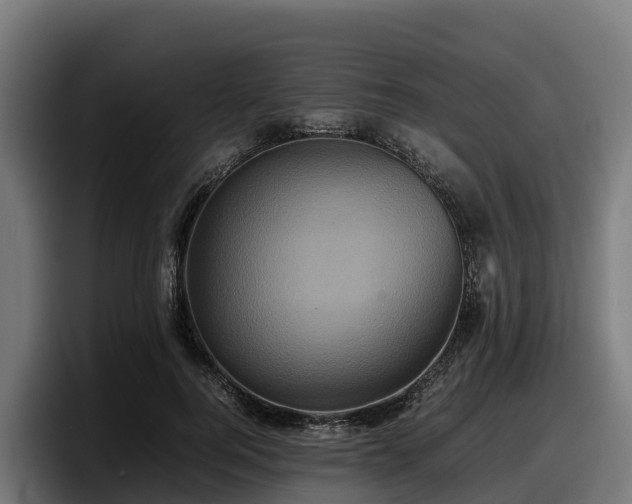 X0000097840744200803201517
