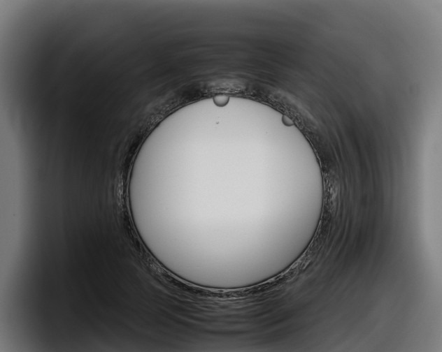 X0000097840745200803201517