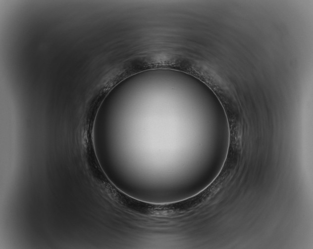 X0000097840746200803201517