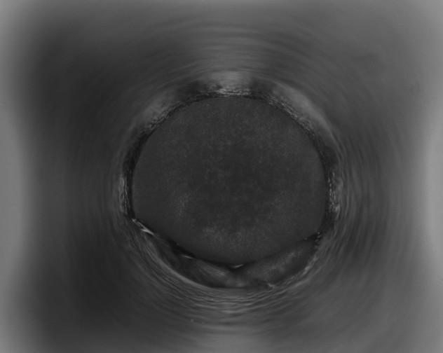 X0000097840748200803201517