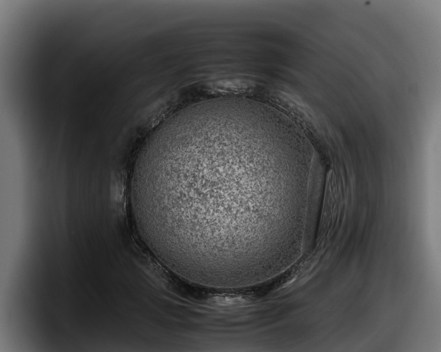 X0000097840749200803201517