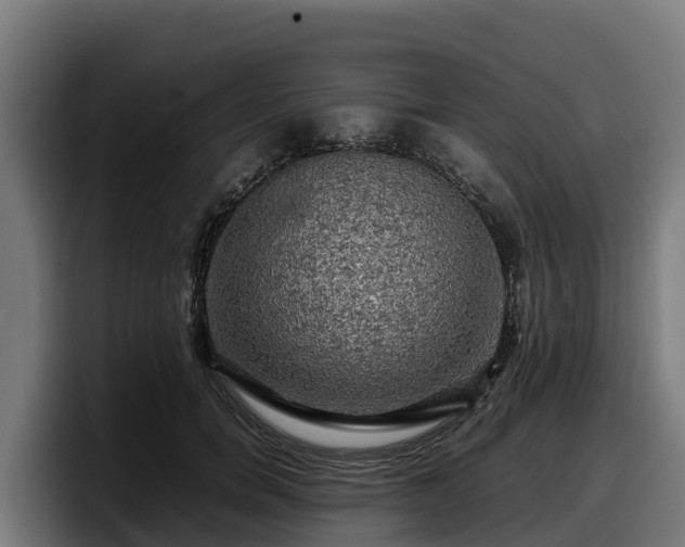 X0000097840750200803201517