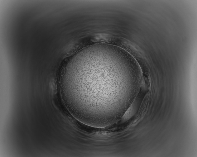 X0000097840751200803201517
