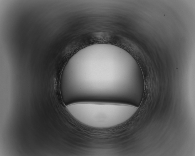 X0000097840752200803201518
