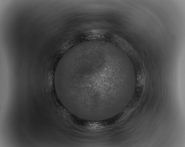 X0000097840753200803201518