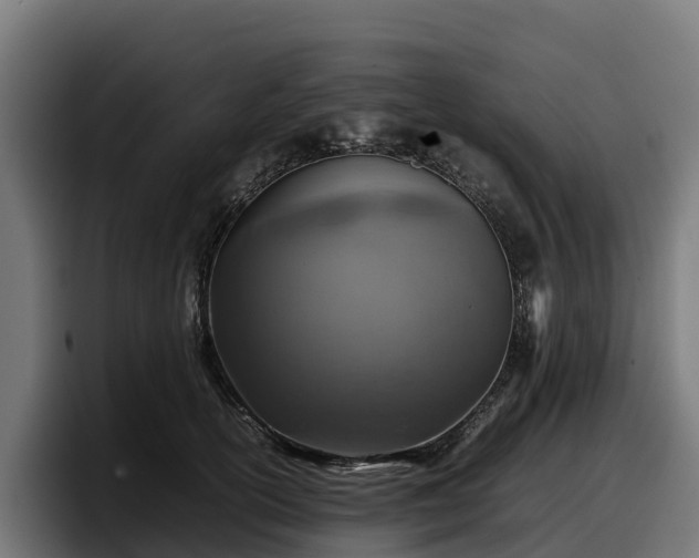 X0000097840754200803201518