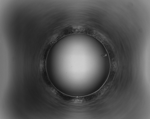 X0000097840756200803201518