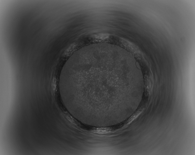 X0000097840758200803201518