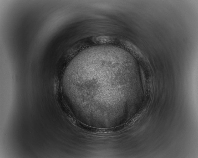 X0000097840760200803201518