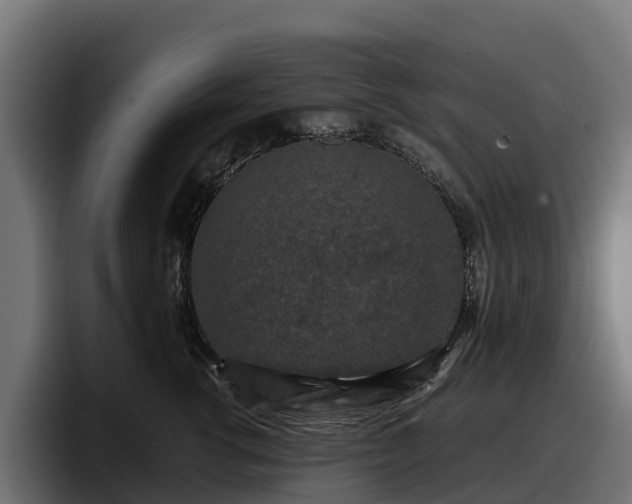 X0000097840762200803201518
