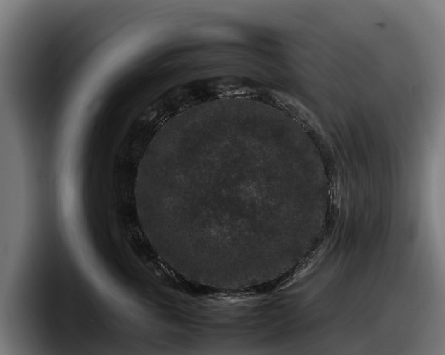 X0000097840763200803201518