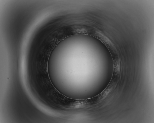 X0000097840764200803201518