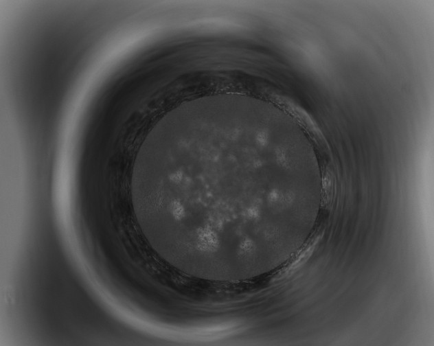 X0000097840765200803201518
