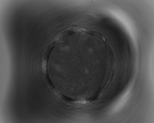 X0000097840767200803201518