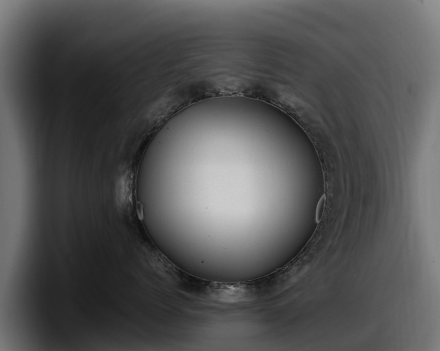 X0000097840768200803201518