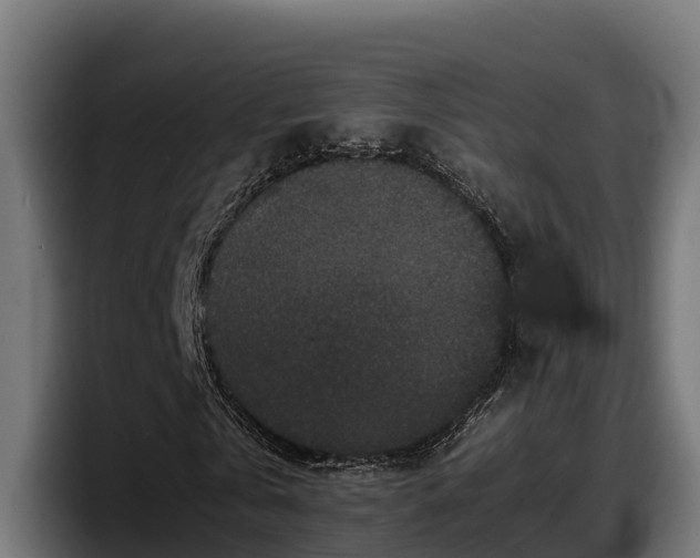 X0000097840769200803201517