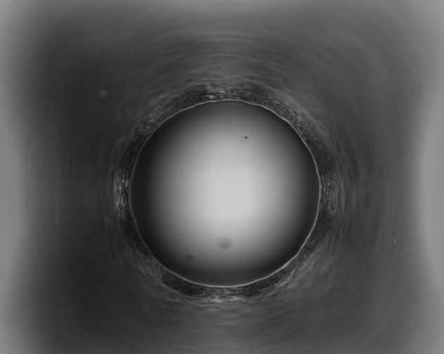 X0000097840770200803201517
