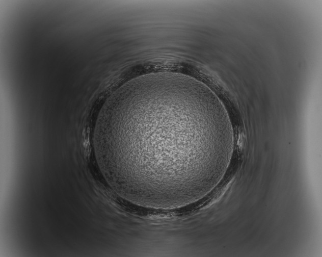 X0000097840771200803201517