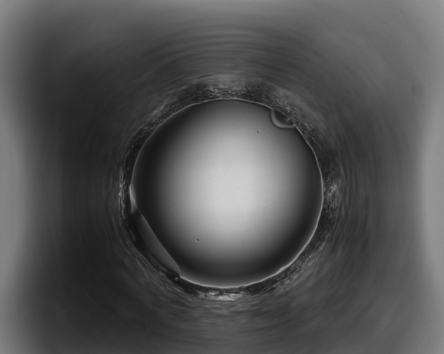 X0000097840772200803201517