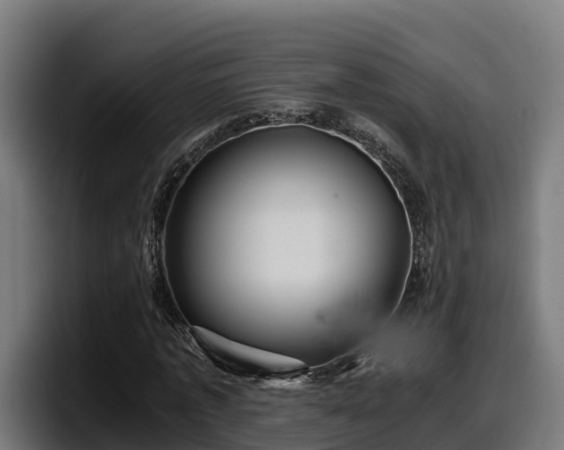X0000097840773200803201517