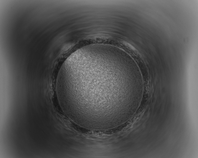 X0000097840774200803201517