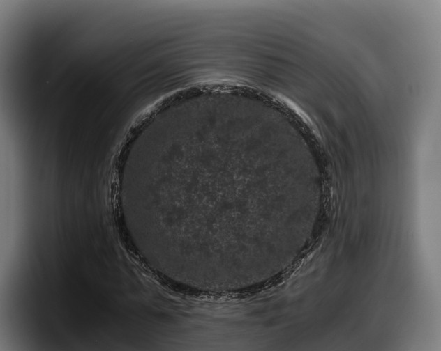 X0000097840775200803201517