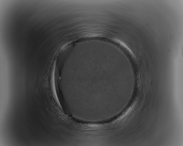 X0000097840777200803201517
