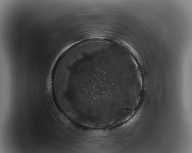X0000097840779200803201517