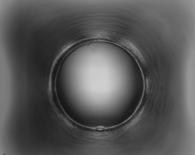 X0000097840780200803201517