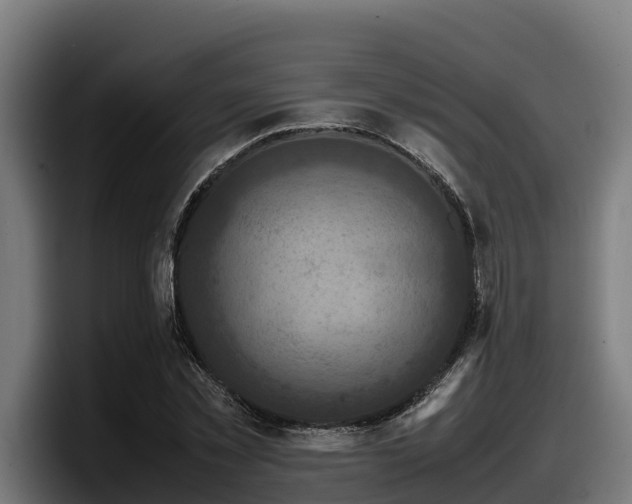 X0000097840781200803201517