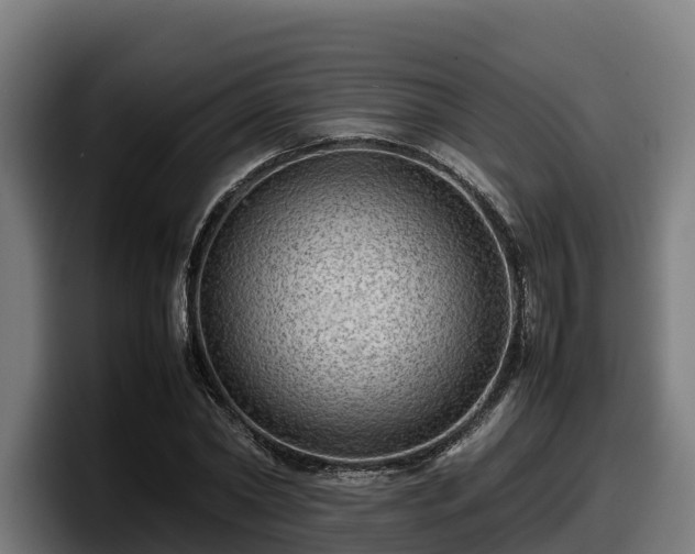 X0000097840782200803201517