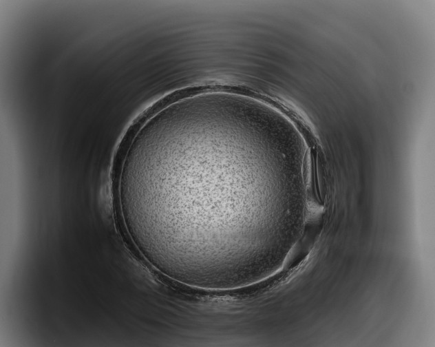 X0000097840784200803201517