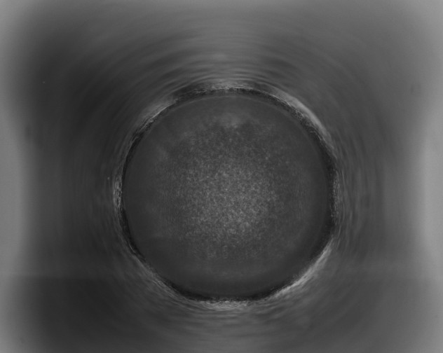 X0000097840785200803201517