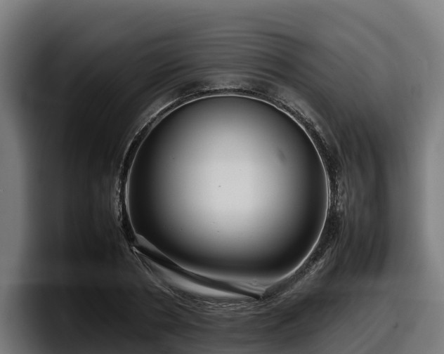 X0000097840786200803201517