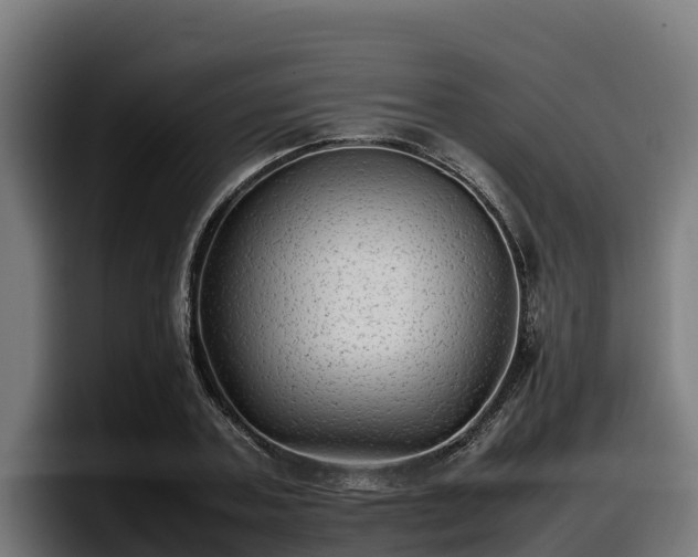 X0000097840787200803201517