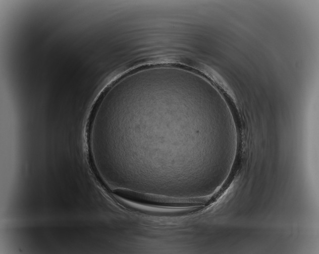 X0000097840789200803201517